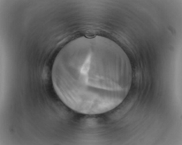 X0000113250228200910081325