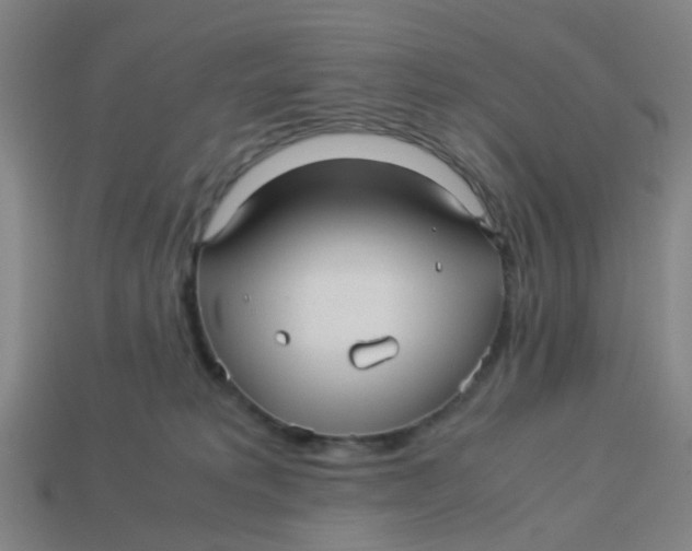 X0000113250229200910081325