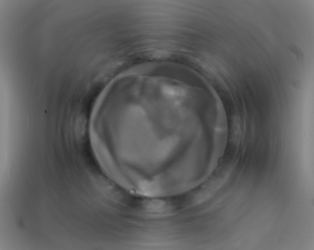 X0000113250230200910081325