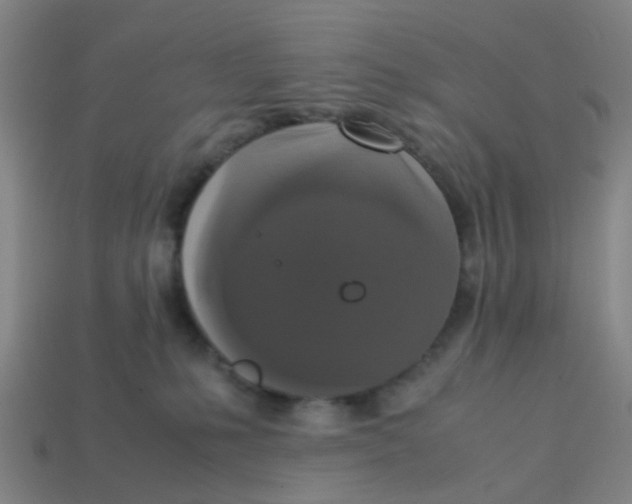 X0000113250231200910081325