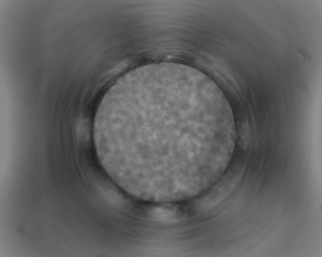 X0000113250232200910081325