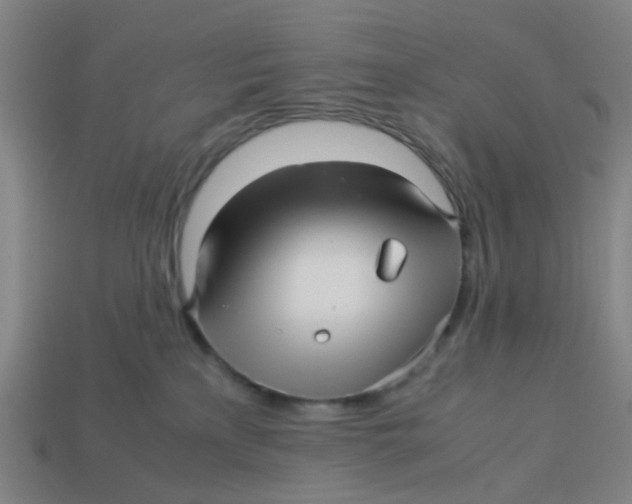 X0000113250233200910081325