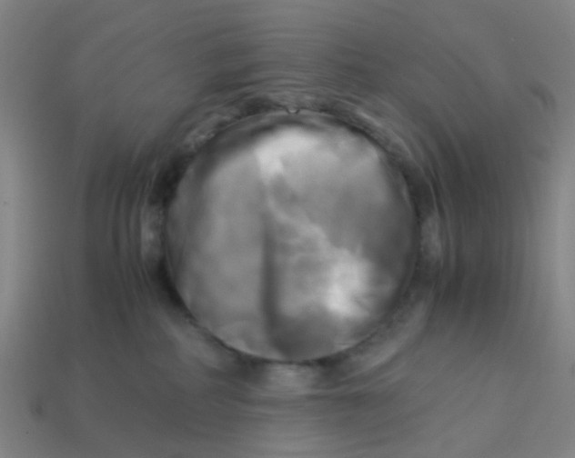 X0000113250234200910081325