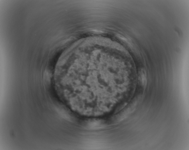 X0000113250235200910081325