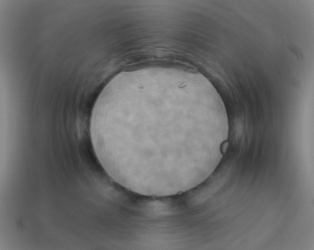 X0000113250236200910081325