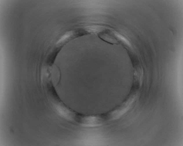 X0000113250237200910081325