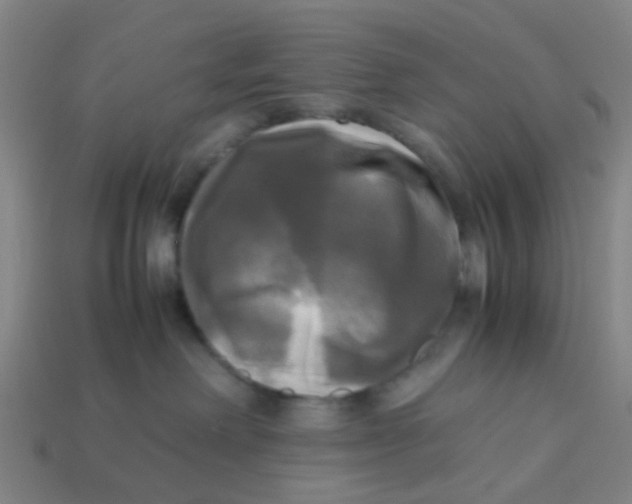 X0000113250238200910081325