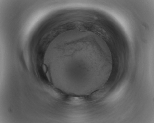 X0000113250239200910081325