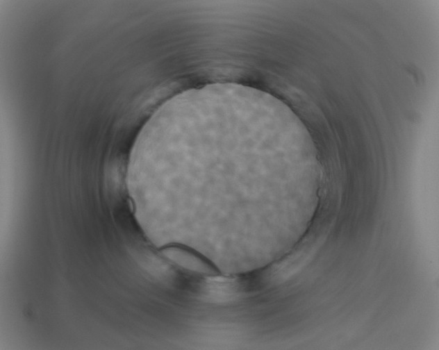 X0000113250240200910081325