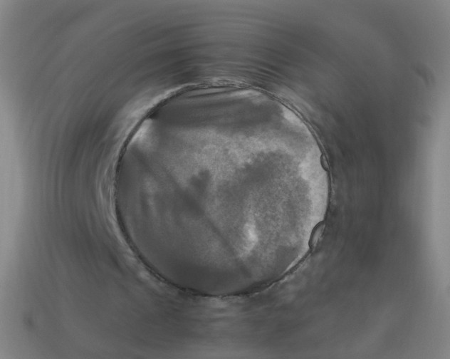 X0000113250241200910081325