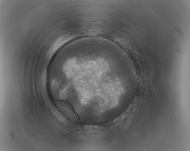 X0000113250242200910081325