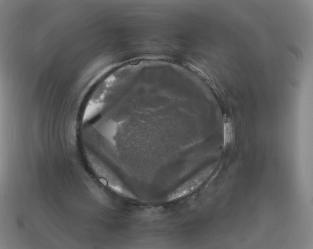 X0000113250243200910081325