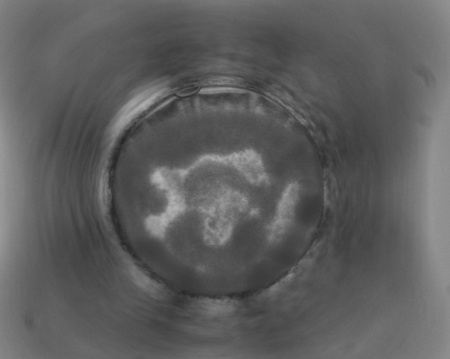 X0000113250245200910081325