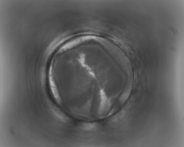 X0000113250247200910081325