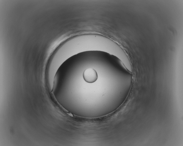 X0000113250248200910081325