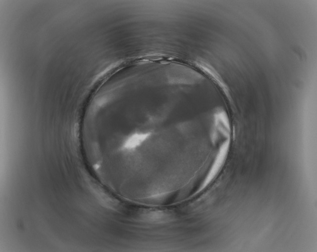 X0000113250249200910081325