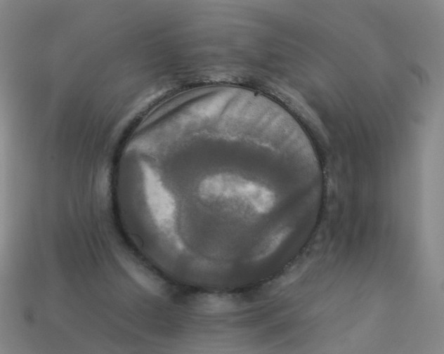 X0000113250250200910081325