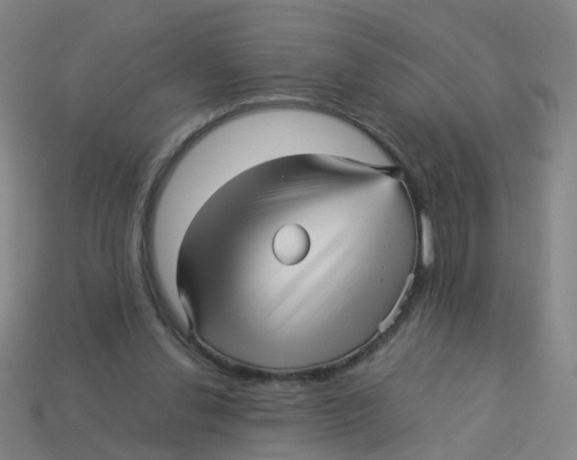 X0000113250252200910081325