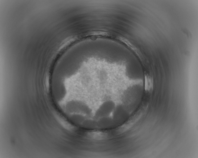 X0000113250253200910081325