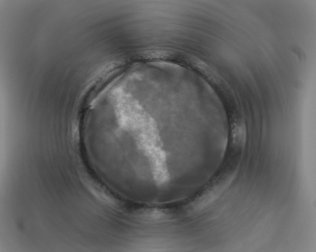 X0000113250254200910081325