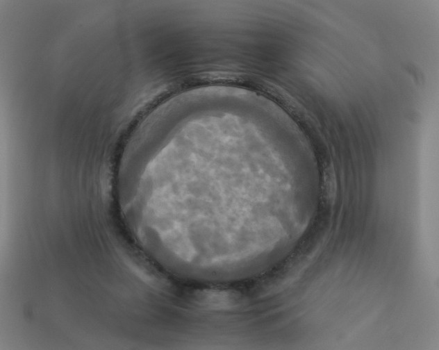 X0000113250255200910081325