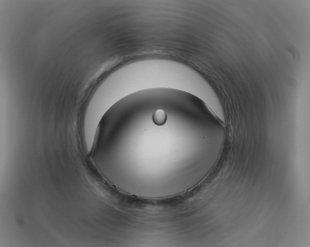 X0000113250256200910081325