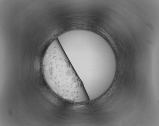 X0000113250257200910081325