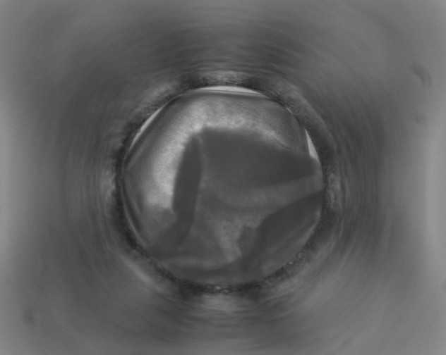 X0000113250259200910081325