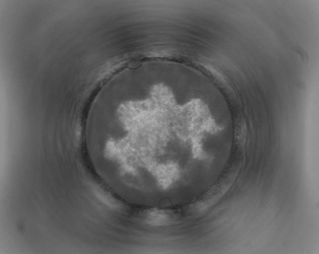 X0000113250261200910081325