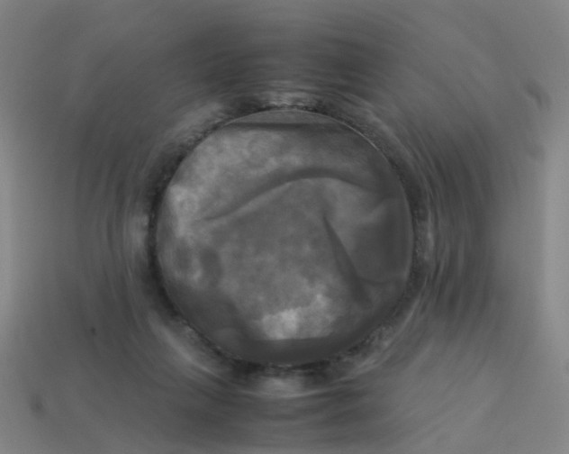 X0000113250263200910081325