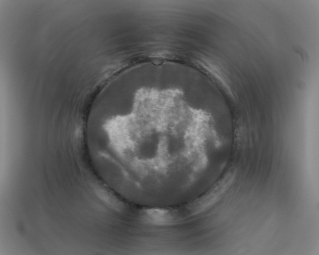 X0000113250265200910081325