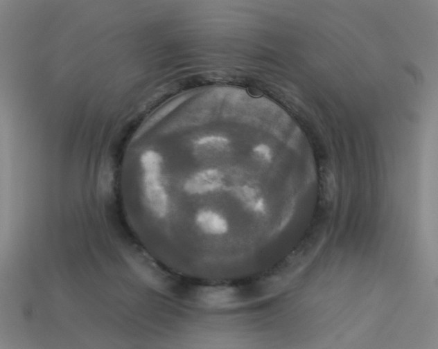 X0000113250266200910081325