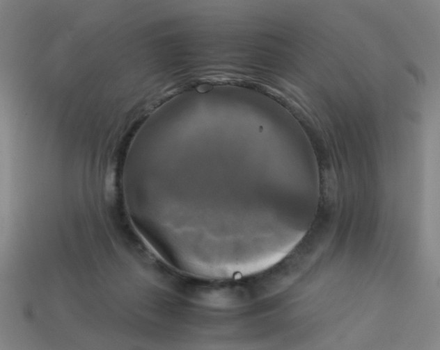 X0000113250267200910081325