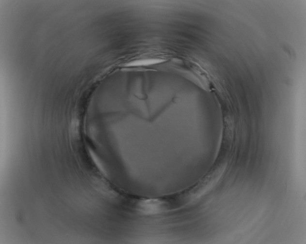 X0000113250269200910081325