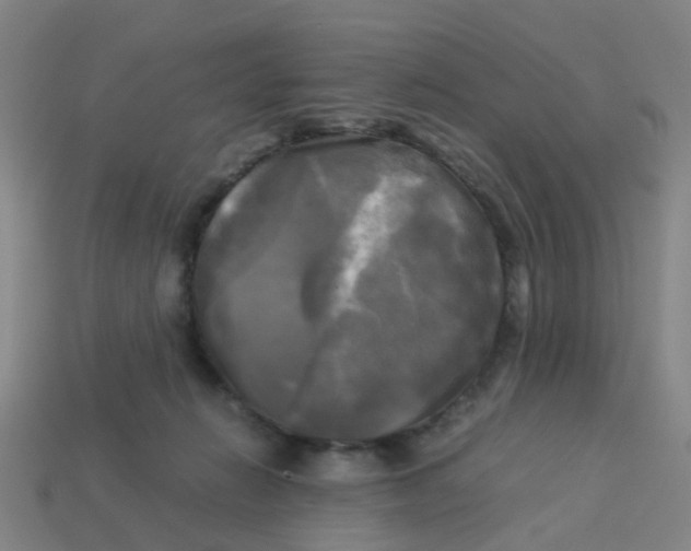 X0000113250270200910081325