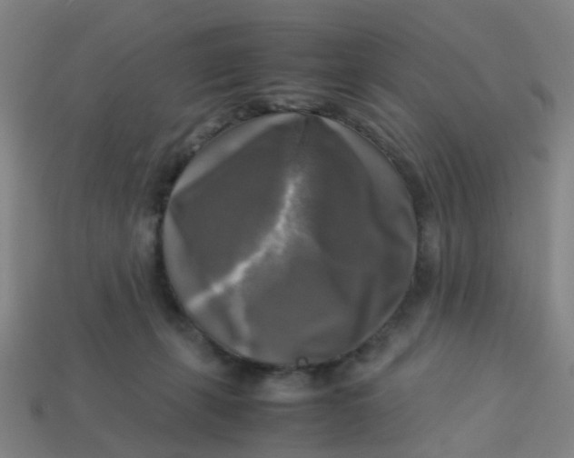 X0000113250271200910081325