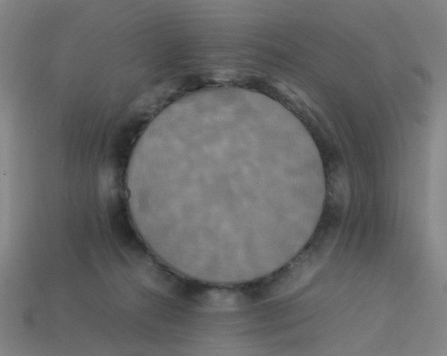 X0000113250272200910081325