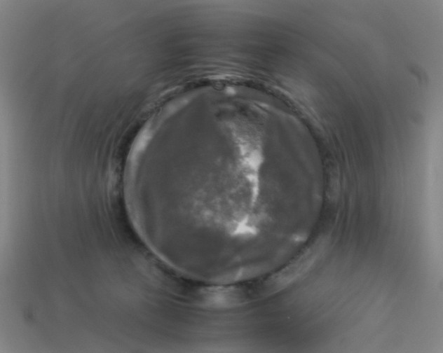 X0000113250273200910081325