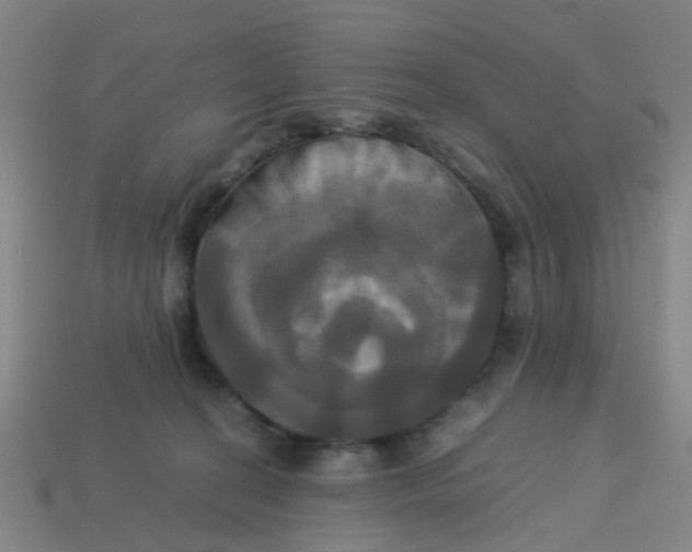 X0000113250274200910081325