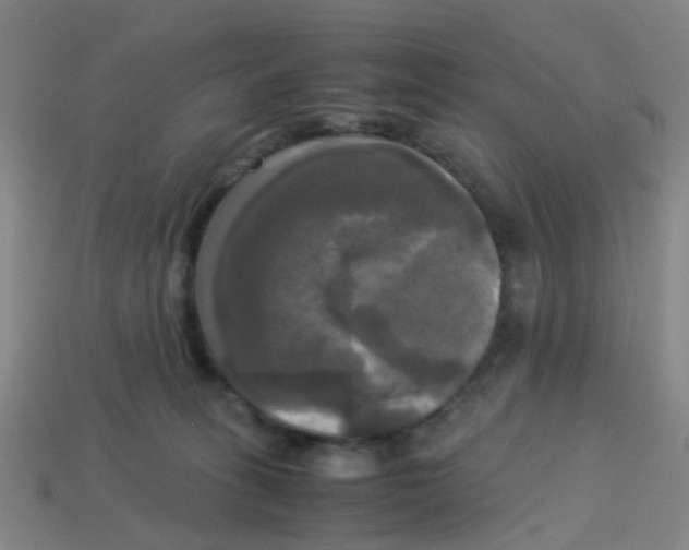 X0000113250275200910081325