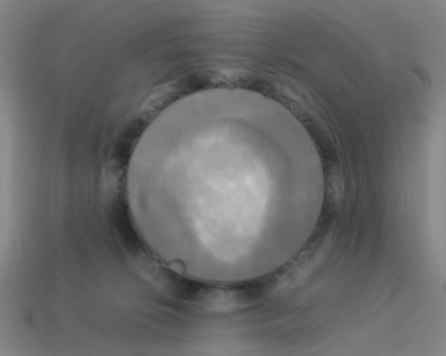 X0000113250276200910081325