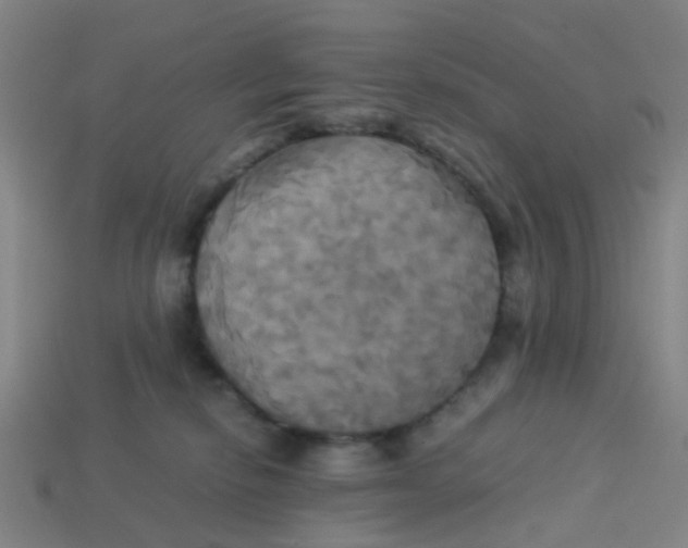 X0000113250278200910081325