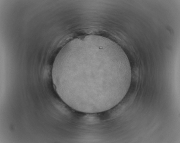 X0000113250280200910081325