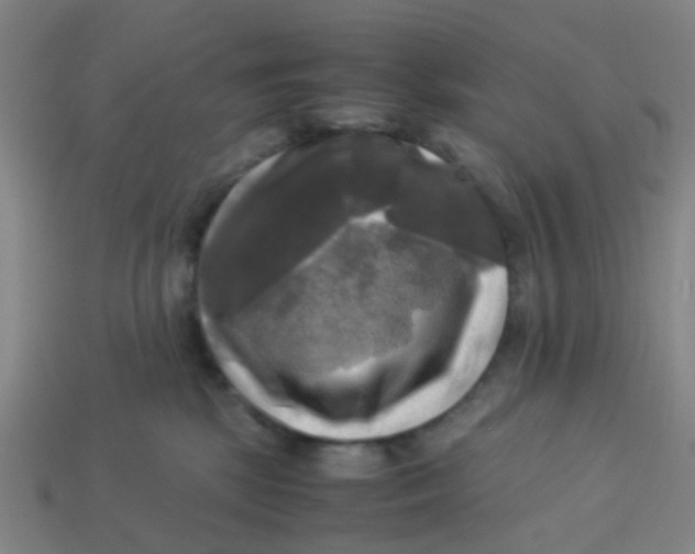 X0000113250281200910081325