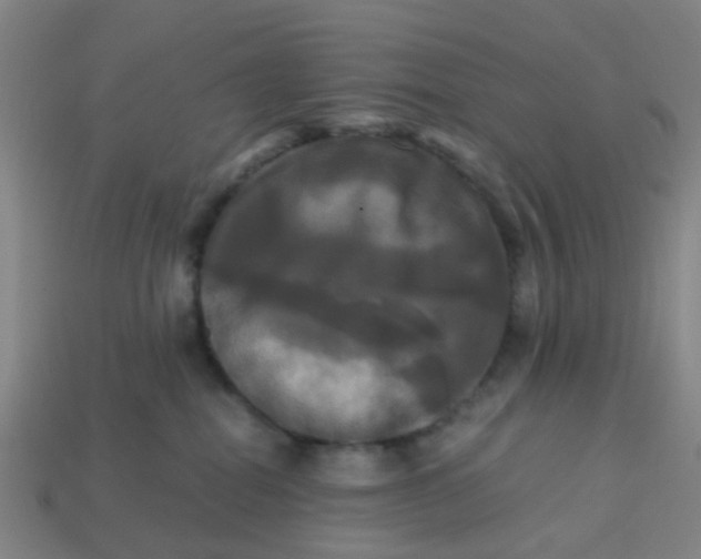 X0000113250282200910081325