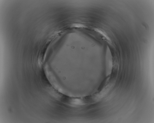 X0000113250285200910081325