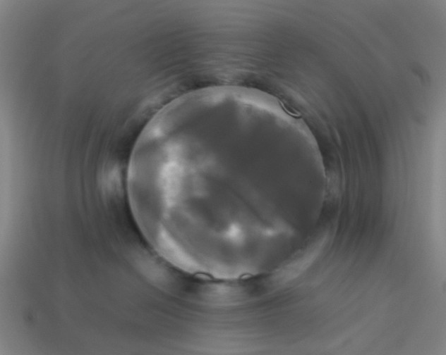 X0000113250286200910081325