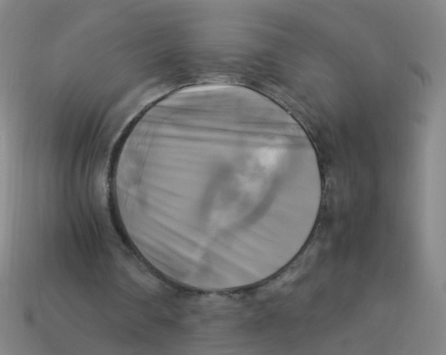 X0000113250290200910081325