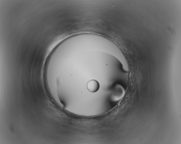 X0000113250292200910081325