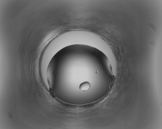 X0000113250293200910081325